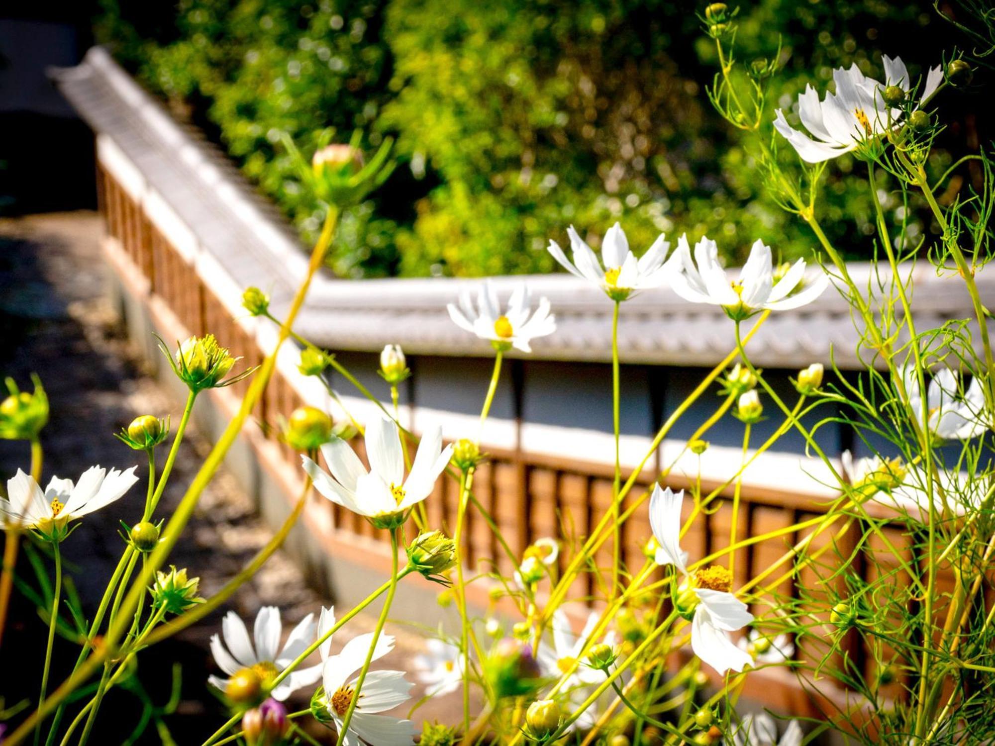 Kita-Kamakura 520 Hotel Bagian luar foto