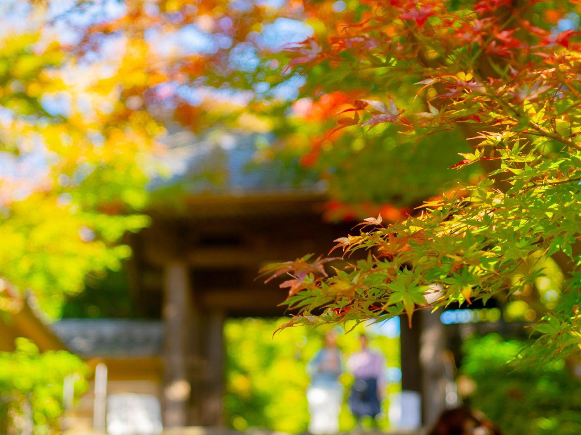 Kita-Kamakura 520 Hotel Bagian luar foto